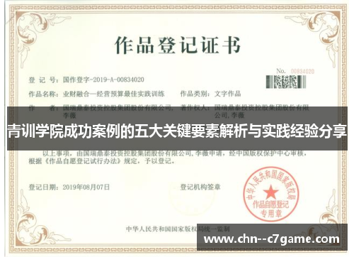 青训学院成功案例的五大关键要素解析与实践经验分享